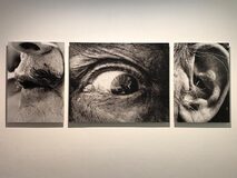 Galerie photo 